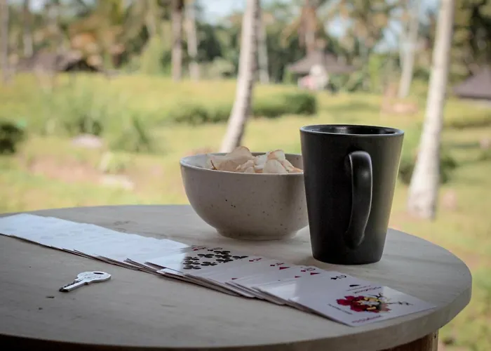 Hidden Sleep Bali Penginyahan