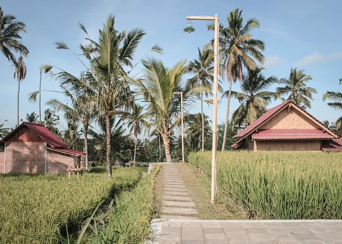 Hidden Sleep Bali Penginyahan